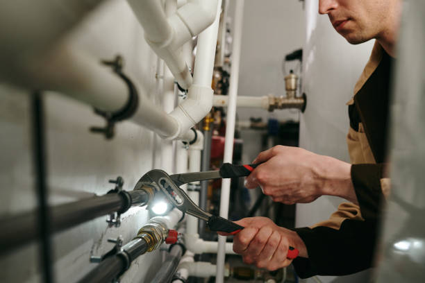 Best Plumbing Services Near Me  in Minerva Park, OH